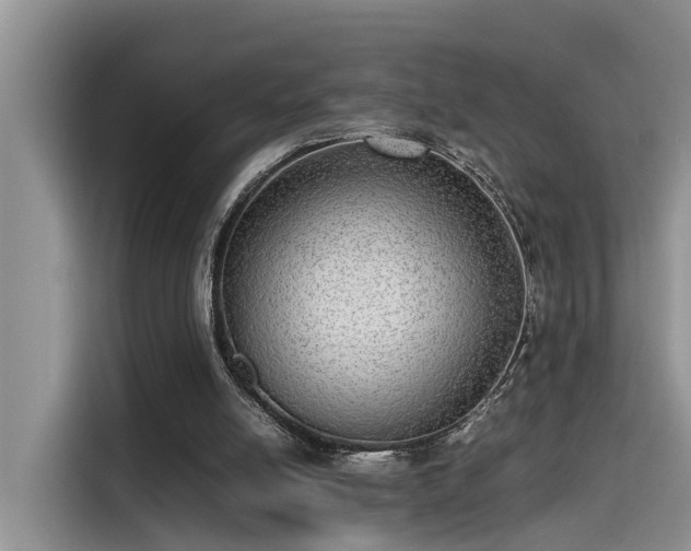 X0000115640054200911171430