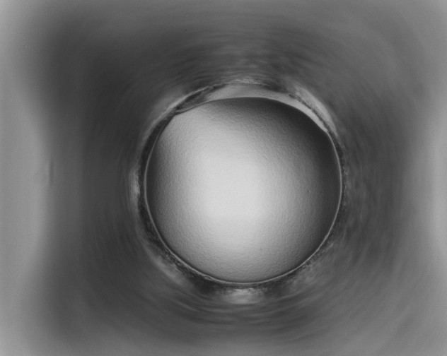 X0000115640059200911171431