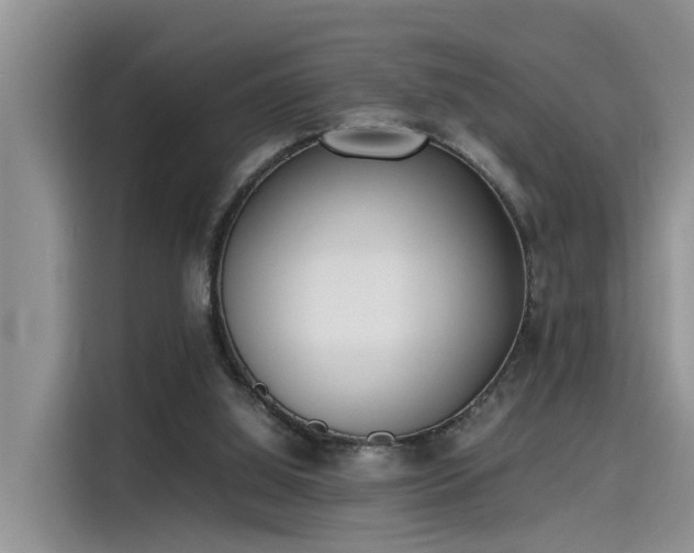 X0000115640060200911171431