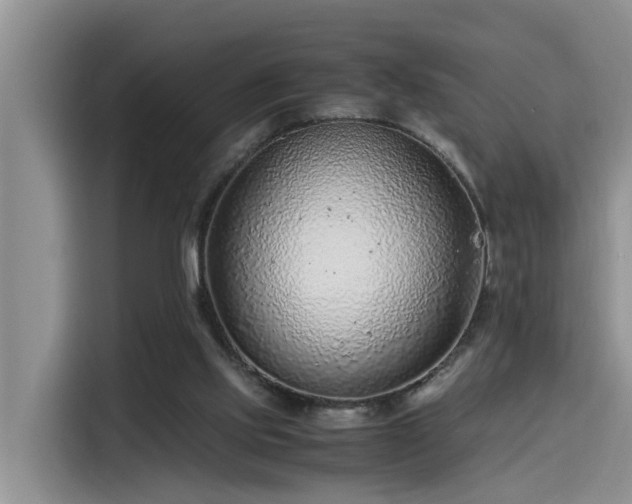 X0000115640061200911171431