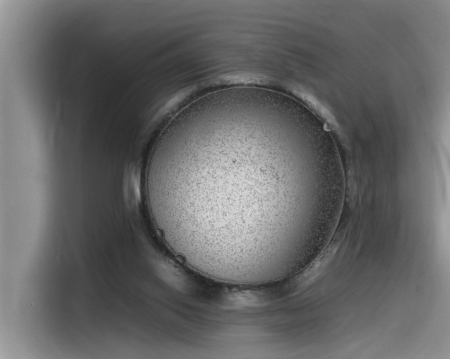 X0000115640062200911171431