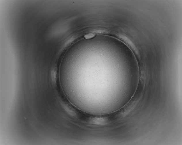 X0000115640063200911171431