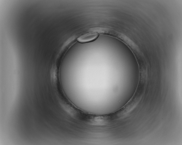 X0000115640064200911171431