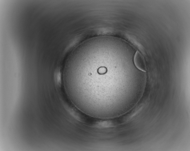 X0000115640067200911171431