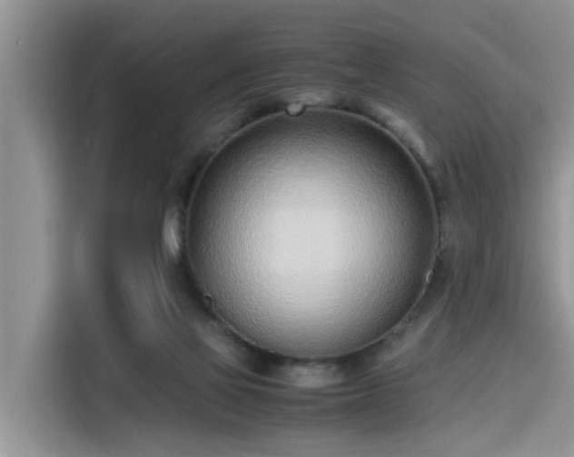 X0000115640069200911171431