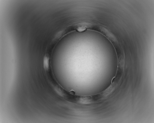 X0000115640070200911171431