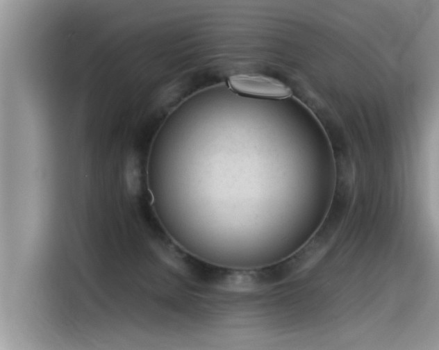 X0000115640080200911171431