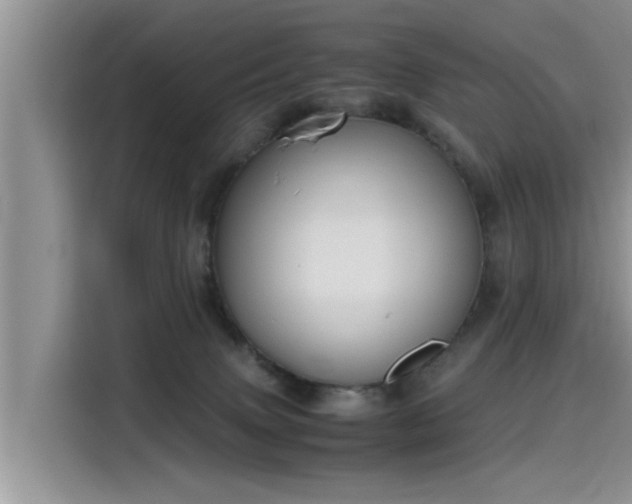 X0000115640083200911171431