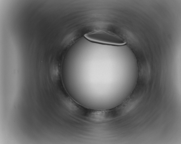 X0000115640084200911171431