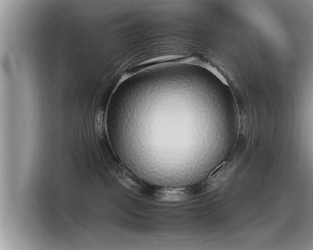 X0000115640093200911171431