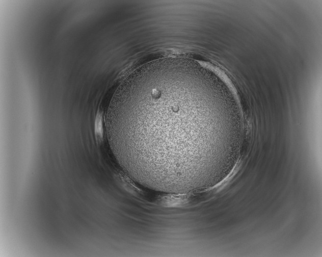 X0000115640094200911171431