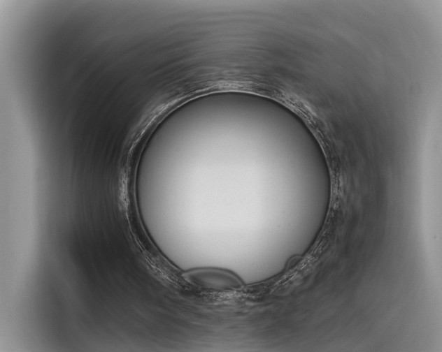 X0000115640098200911171430