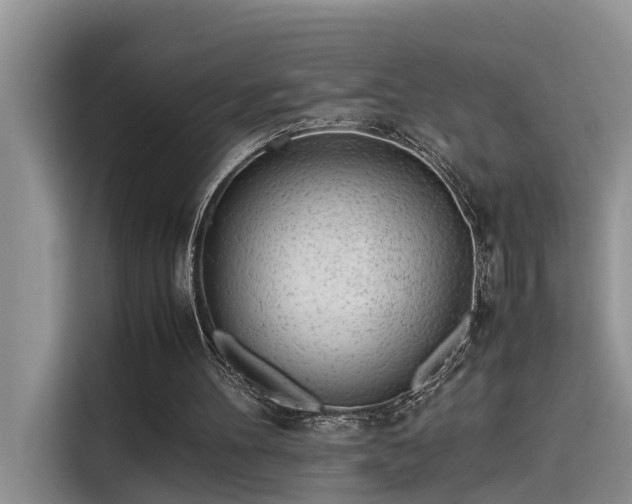 X0000115640100200911171430