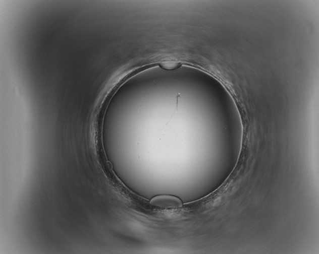 X0000115640103200911171430