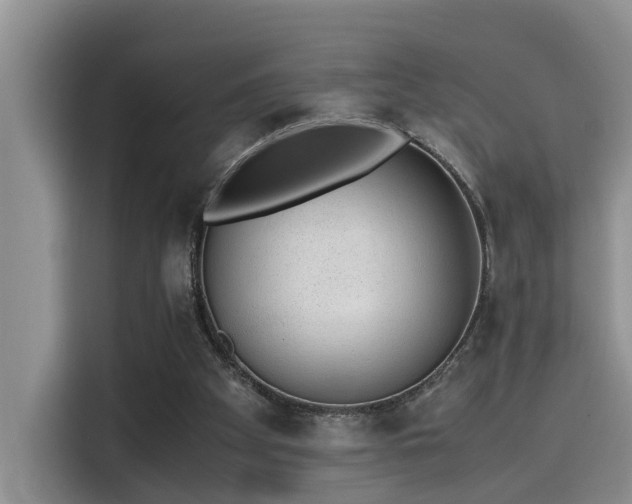 X0000115640105200911171430