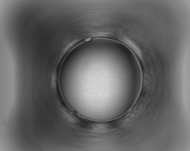 X0000115640107200911171430