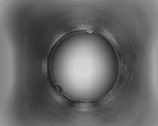 X0000115640108200911171430