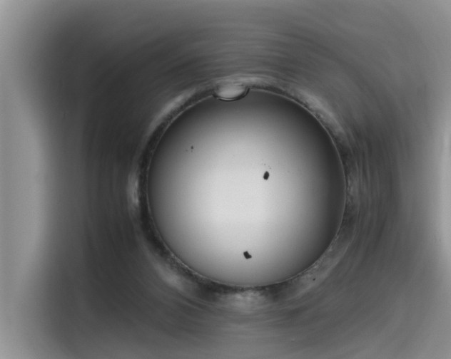 X0000115640112200911171430