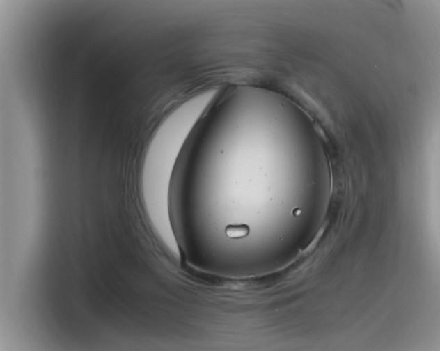 X0000115640117200911171430