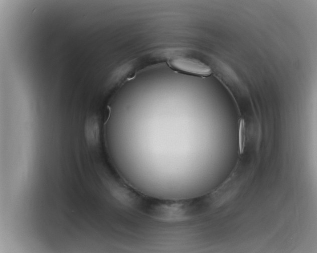 X0000115640120200911171430