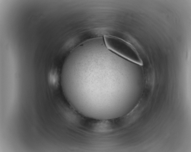 X0000115640124200911171430