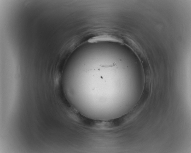 X0000115640125200911171430