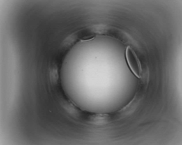 X0000115640128200911171430