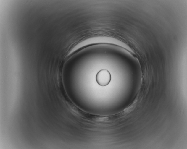 X0000115640132200911171430