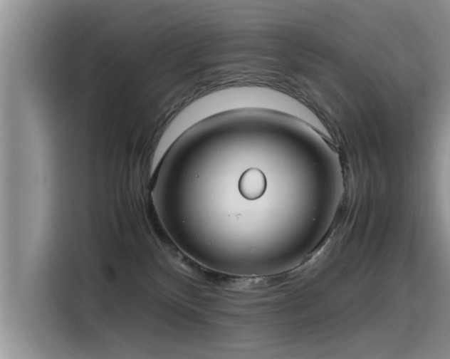 X0000115640136200911171430