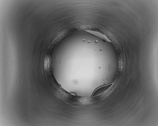 X0000115640142200911171430