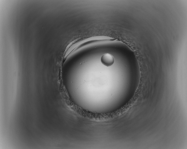 X0000115640144200911171430