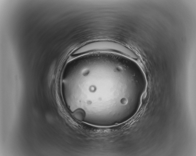 X0000115640145200911171429