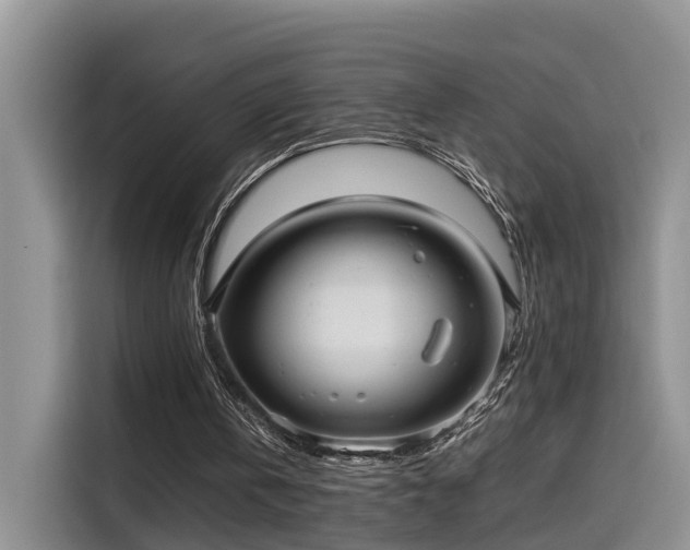 X0000115640146200911171429