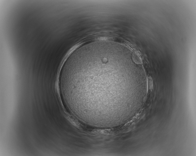 X0000115640147200911171429