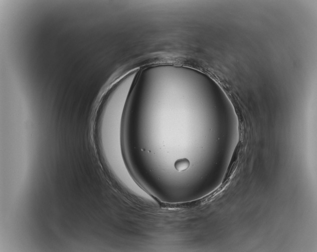 X0000115640150200911171429