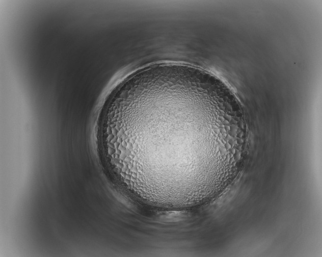 X0000115640151200911171429