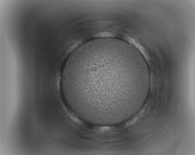 X0000115640153200911171429