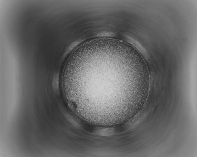 X0000115640155200911171429