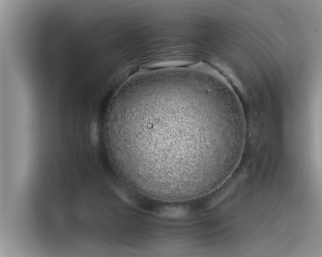 X0000115640161200911171429