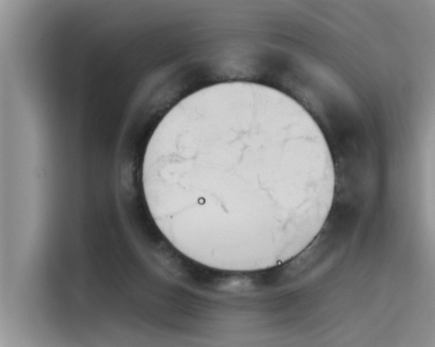 X0000115640162200911171429