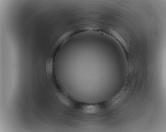 X0000115640163200911171429