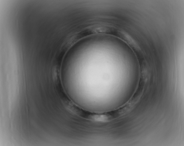 X0000115640169200911171429