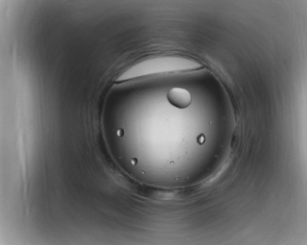 X0000115640170200911171429