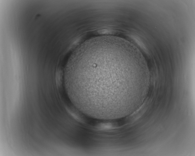 X0000115640171200911171429