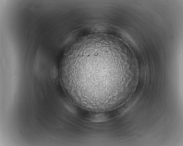 X0000115640173200911171429