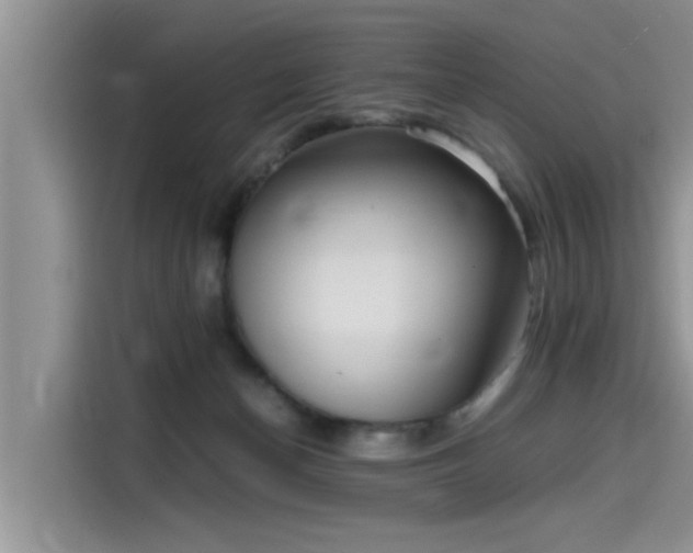 X0000115640174200911171429