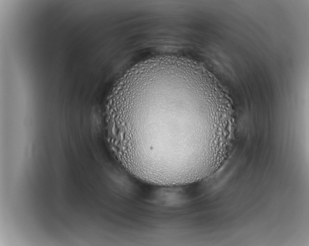 X0000115640179200911171430