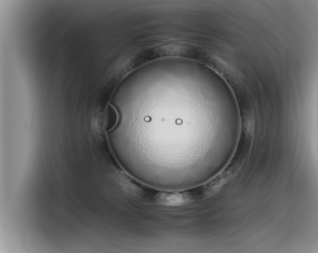 X0000115640181200911171430