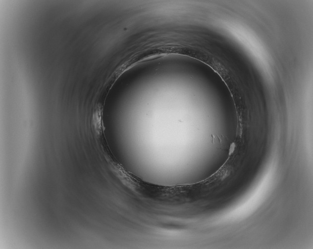 X0000115640190200911171430