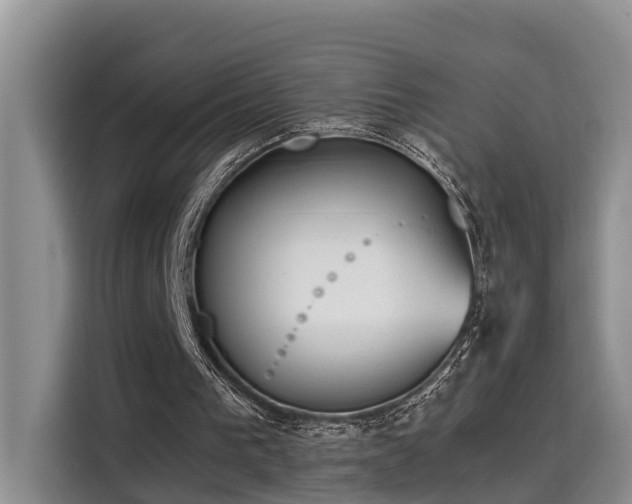 X0000115640193200911171429